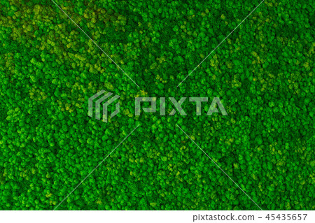 Artificial green moss wall for garden decor. Moss Background Texture Artificial green moss wall for garden decor. Moss Background Texture 45435657