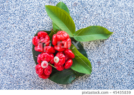 small rose apple in a leaf on a stone table small rose apple in a leaf on a stone table 45435839