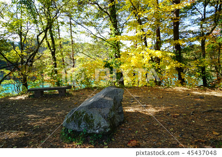 Goshikinuma Autumn leaves Fukushima Prefecture " 45437048