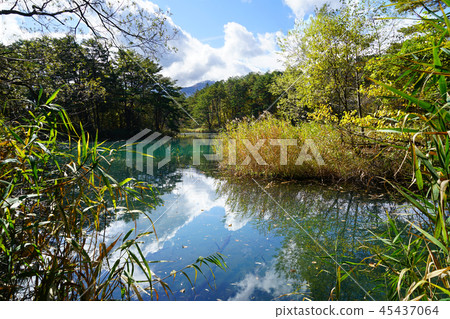 Goshikinuma Autumn leaves Fukushima Prefecture " 45437064