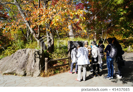 Goshikinuma秋葉福島縣“ 45437085