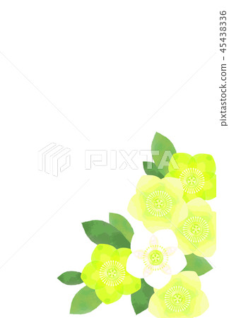Christmas rose card 45438336