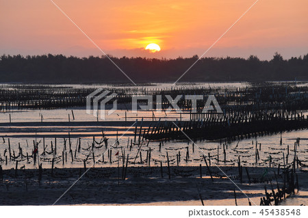 海濱般的Shibata Yu Yutaka Hajime Rei。 海濱般的Shibata Yu Yutaka Hajime Rei。 45438548