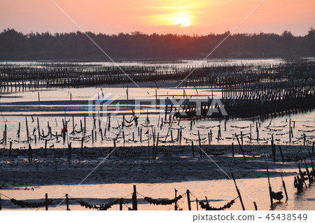 海濱般的Shibata Yu Yutaka Hajime Rei。 海濱般的Shibata Yu Yutaka Hajime Rei。 45438549