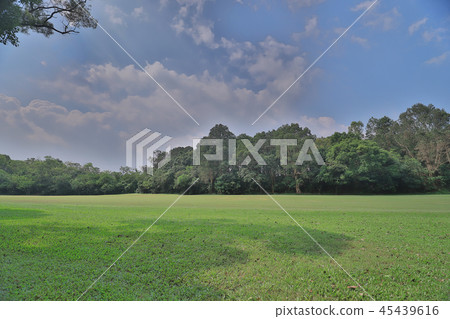 country Club golf course in Hong Kong country Club golf course in Hong Kong 45439616