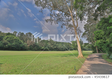 Green golf course cart path in cloudy Green golf course cart path in cloudy 45439617
