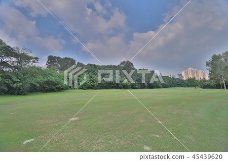 a Focus grass  golf court and big city blur 45439620