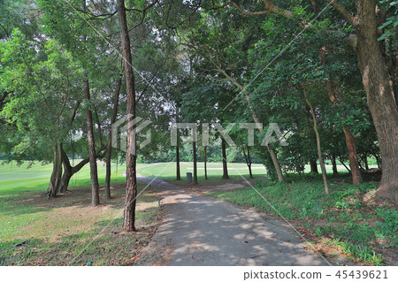 walk way and green field at golf club walk way and green field at golf club 45439621