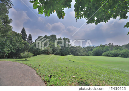 walk way and green field at golf club walk way and green field at golf club 45439623