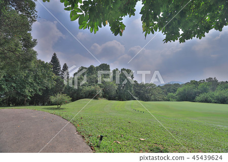 walk way and green field at golf club 45439624