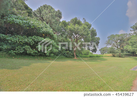walk way and green field at golf club 45439627