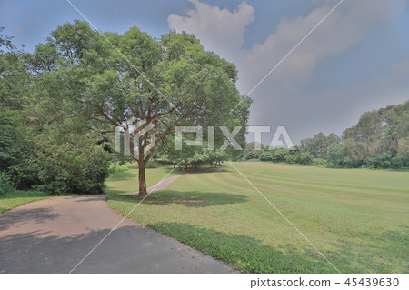 walk way and green field at golf club walk way and green field at golf club 45439630