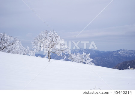 在雪冰山上徒步旅行 在雪冰山上徒步旅行 45440214