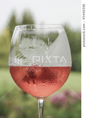 wine glass against a garden wine glass against a garden 45440396