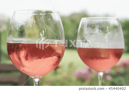 wine glasses against a garden wine glasses against a garden 45440402