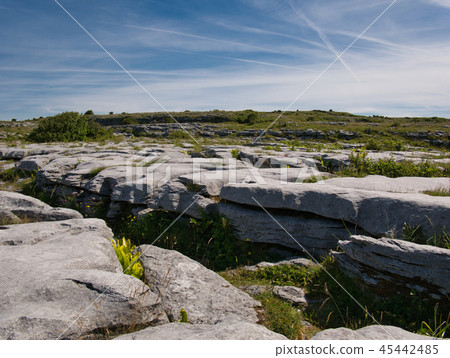 Rocky landscape in Ireland near Poulnabrone Rocky landscape in Ireland near Poulnabrone 45442485