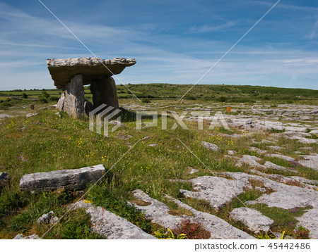 Portal tomb from rocks near Poulnabrone in Ireland Portal tomb from rocks near Poulnabrone in Ireland 45442486
