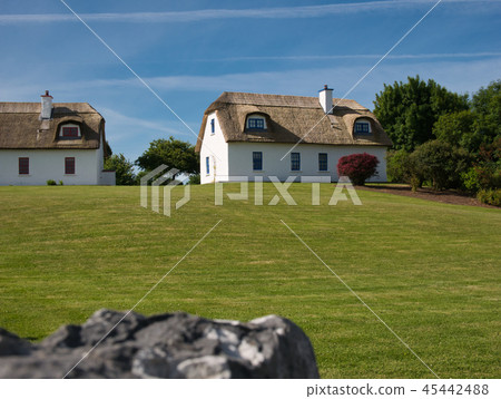 Two traditional houses with a reed roof 45442488