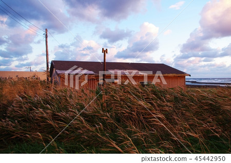 Old hut at sunset 45442950