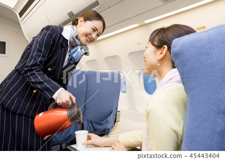 飛機飛行旅行夫婦加州 45443404