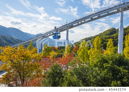 Sky rail Sky rail 45443574