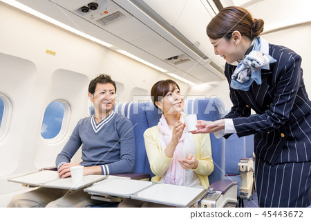 飛機飛行旅行夫婦加州水 45443672