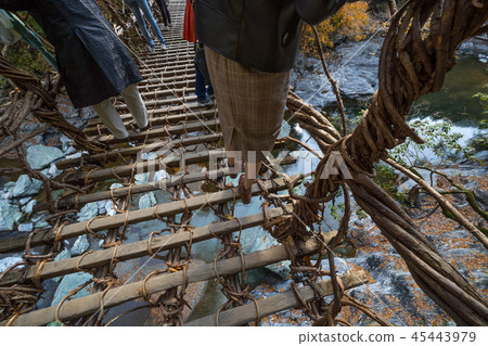 越過伊豆橋(德島縣三好市伊山屋) 越過伊豆橋(德島縣三好市伊山屋) 45443979