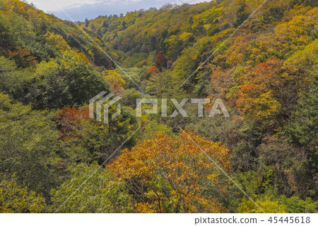 [Hokuto City, Yamanashi Prefecture] Kawamata River Valley in Autumn 45445618