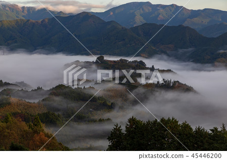 Shizuoka City Yoshihara Unumi 45446200