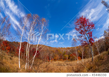 Minakami鎮有森林秋葉 45446330