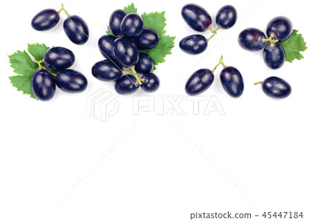 bue grapes wih leaves isolated on the white background with copy space for your text. Top view. Flat bue grapes wih leaves isolated on the white background with copy space for your text. Top view. Flat 45447184