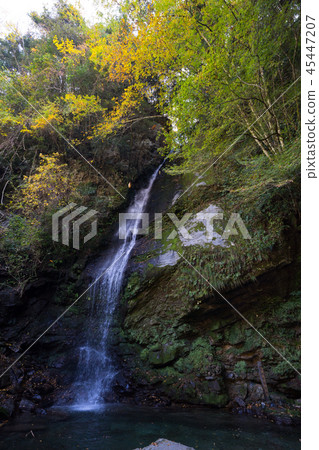 Taki Falls (Saiyotaniyama Village, Miyoshi City, Tokushima Prefecture) 45447207