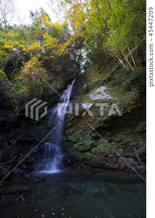 Taki Falls (Saiyotaniyama Village, Miyoshi City, Tokushima Prefecture) 45447209