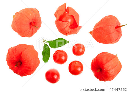 physalis with leaves isolated on white background. Top view. Flat lay pattern 45447262