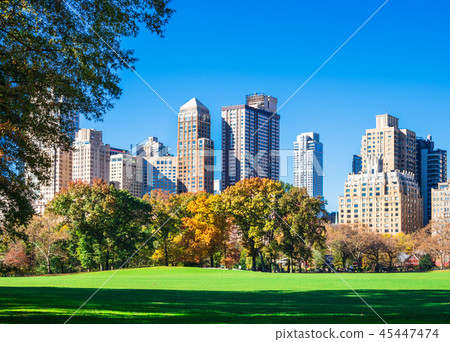 Autumn Central Park Sheep Meadow 45447474