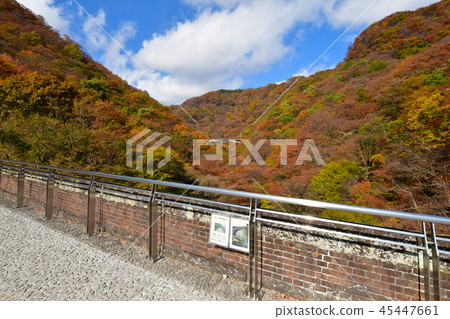 臼井Pass眼鏡橋的紅葉 45447661
