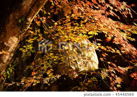 Autumn leaves of Yoshimizuen in Akiota Hiroshima prefecture Autumn leaves of Yoshimizuen in Akiota Hiroshima prefecture 45448569