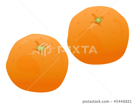 Mandarin orange  45448881