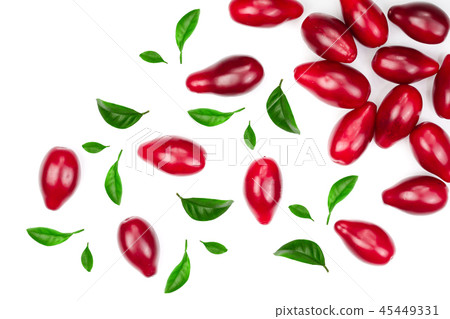 Red berries of cornel or dogwood decorated with leaves isolated on white background. Top view. Flat Red berries of cornel or dogwood decorated with leaves isolated on white background. Top view. Flat 45449331