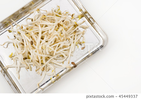 豆芽 豆芽 45449337