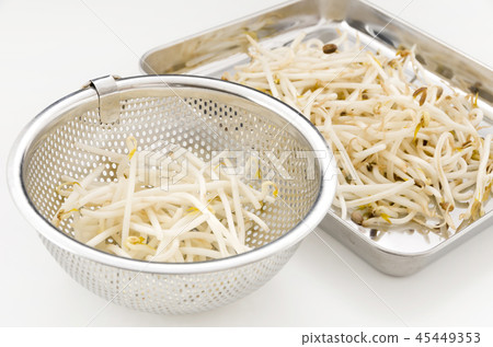 取鬍子根的豆芽 45449353