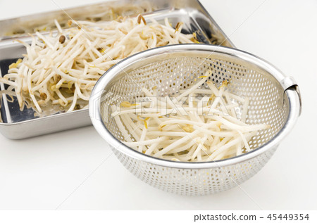 取鬍子根的豆芽 45449354