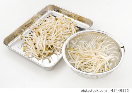 取鬍子根的豆芽 45449355