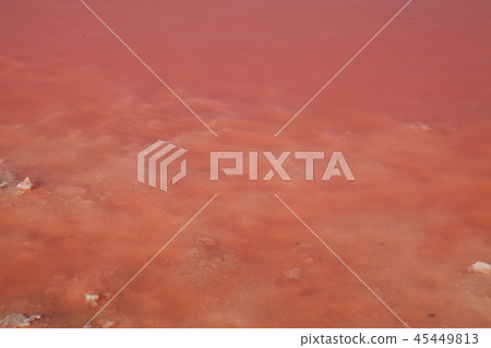 rose water Salt Lake landscape nature background 45449813