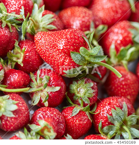 Freshly picked ripe strawberries with green stems. Healthy organic berry. Top view 45450169