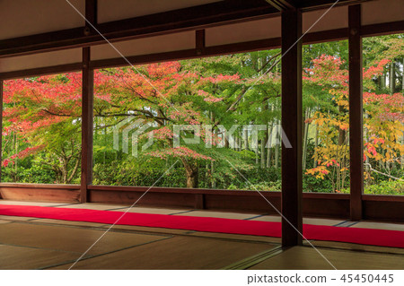 Autumn leaves of Hohsen-in Autumn leaves of Hohsen-in 45450445