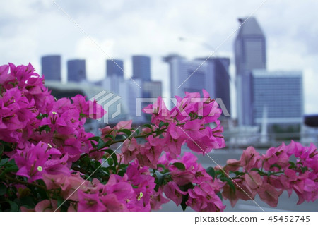Flowers and buildings Flowers and buildings 45452745