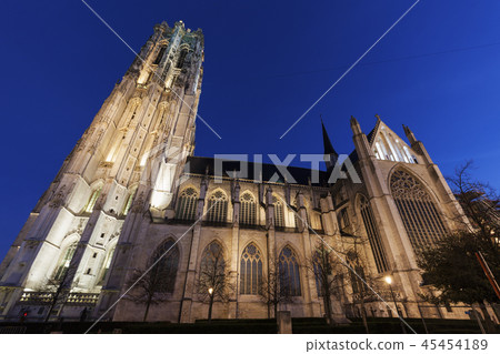 Saint Rumbold's Cathedral in Mechelen Saint Rumbold's Cathedral in Mechelen 45454189