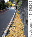 Okutamako Fall Working 45456205