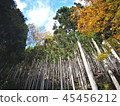 Fall working 45456212